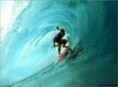 /album/photo-gallery/th-surfing-4-jpg/